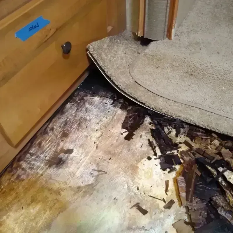 Wood Floor Water Damage in Lake Sarasota, FL